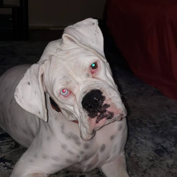 Meet your Posher, Kristyn - Picture 1 of 1